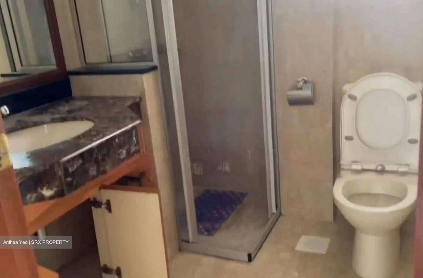 Carissa Park Condominium (D17), Condominium #553898901